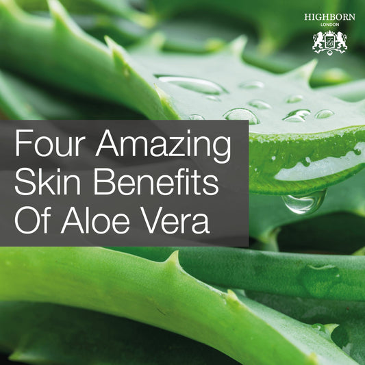 Why Aloe Vera Is The Best Ingredient For All Skin Types